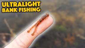 The LITTLE Details Can Make A BIG Difference! (Ultralight Fishing)