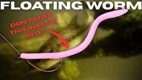 I Wish I Knew THIS Sooner About The FLOATING WORM! | Everything You Need To Know