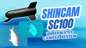 What Fish REALLY Do Underwater… Caught on Camera! SHINECAM SC100