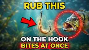 Rub This On The Hook Like This — The Cheap Material That Guarantees A Bite On The First Cast