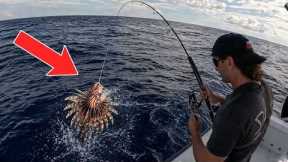 I Found this fish FLOATING AND ATE IT! *Catch & Cook*