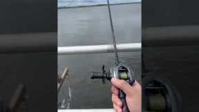 Catching Fish in Saltwater is SO EASY!