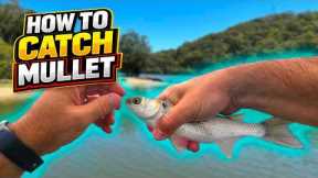 How to Catch Mullet for Bait | Easy & Effective