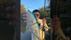 World’s Most REALISTIC But RIDICULOUS Bait EVER…