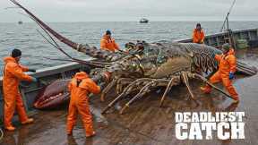 Fishing Documentary| How Raising 2 Million Fish in Floating Cages Feeds a $1 Billion Global Industry