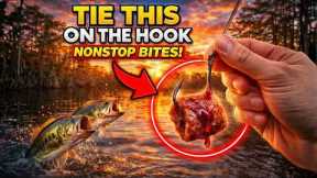 Tie This On The Hook Like This And Fish Won’t Stop Biting — Championship Technique In The South
