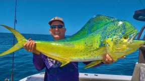 Deep Sea Fishing! Mahi Mahi | Tuna | Snapper {Catch Clean Cook} DMFD Life Ponce Inlet
