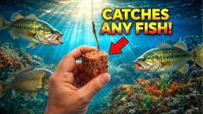 STOP BUYING EXPENSIVE FISHING BAITS! THIS $2 BAIT WORKS 16x BETTER