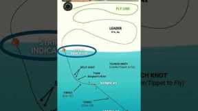 Most Trout Are Caught This Way (Fly Fishing)