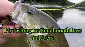 Fly Fishing for Smallmouth Bass in Rivers