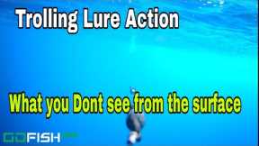 Trolling the Go Fish Camera and A big CowBell lure offshore fishing Tackle testing most satisfying