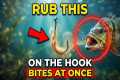 Rub This On The Hook Like This — The