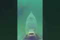 UNDERWATER CARP FISHING! Big Carp
