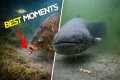Best Underwater Fishing Moments 2025