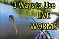 How to Catch a Fish With a Live Worm