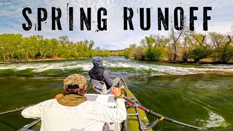 Urban Fly Fishing SPRING RUNOFF!