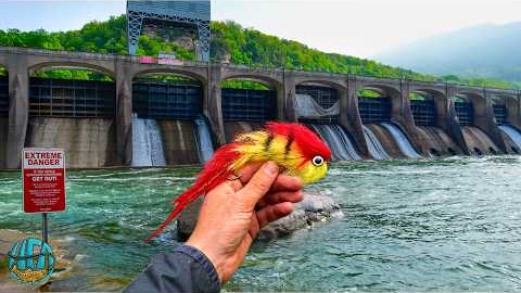 48 Hours Hunting the Most Dangerous Fish in West Virginia!! (Fly Fishing for Musky)