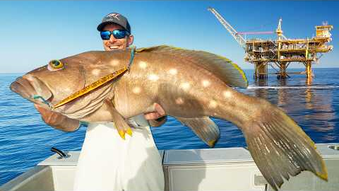 Massive Grouper & Cobia under Huge Oil Rig (Catch Clean & Cook)