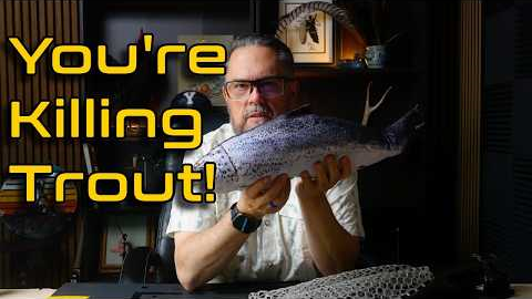 5 Things That Actually Kill Released Trout (Wet Hands Isn't One)