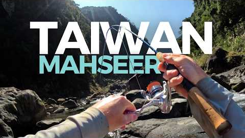 you can catch this fish in taiwan!? Peak adventure fishing