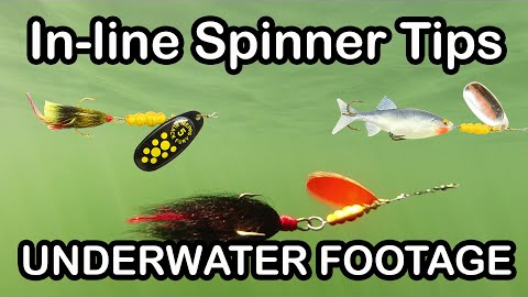 Inline Spinner Fishing Lure Tips and How To Fish Spinners (underwater fishing lures)