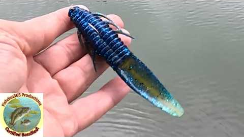 This Bait Looks Alive In The Water!