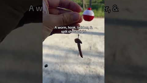 Catch More Fish with This Simple Worm & Bobber Setup!