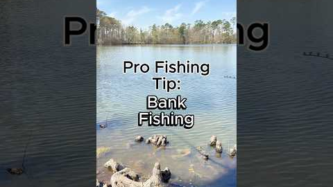 3 Bank Fishing Tips #fishing #bankfishing #fishingtips #pondfishing