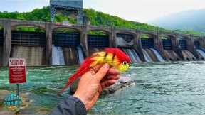 48 Hours Hunting the Most Dangerous Fish in West Virginia!! (Fly Fishing for Musky)