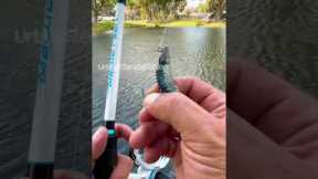How to sling shot cast. #fishingvideos #urbanfloridafishing #southfloridafishing #cooledit #fishing