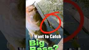 Fishing Tips for Beginners - Rigging a Live Worm for Giant Bass #fishing #fishingvideo