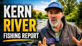 Don't Fish The Kern Until You Watch This Update - Conditions & Top Trout Flies!