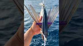 Using FLYING Fish as Bait #fishing #shorts