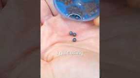Why We Avoid Split Shot When Fly Fishing