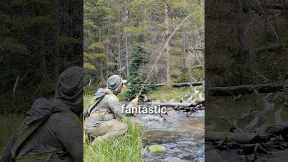 The Fly Fishing Mistake That Scares Fish Away