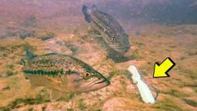 *INSANE UNDERWATER FOOTAGE* (BASS ATTACKING LURES)