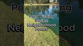How to Fish a Neighborhood Pond #bassfishing #fishing #fishingtips #pondfishing