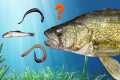 The TRUTH About Leeches, Minnows and