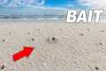 These Tiny Beach Holes Hide the BEST