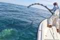 GIANT Bluefin Tuna Fishing Goes