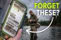Forget Memorizing Flies — Beginner