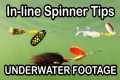 Inline Spinner Fishing Lure Tips and