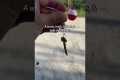 Catch More Fish with This Simple Worm 