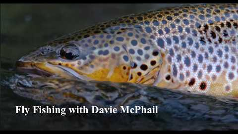 Fly Fishing with Davie McPhail