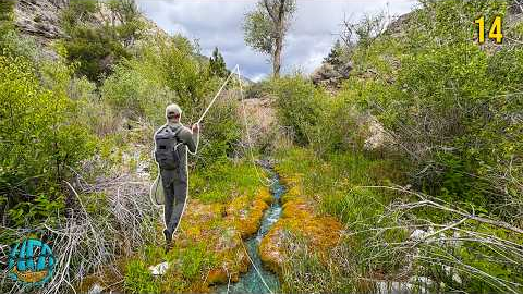 Fly Fishing the DRIEST State in America for 3 Days! (Nevada Trout Fishing)
