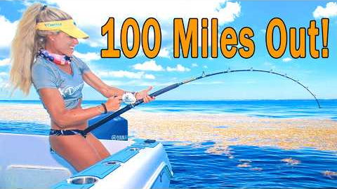 100 Miles Offshore Catching Massive Blackfin Tuna, Mahi and Snappers! (Catch & Cook)