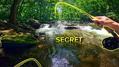 Fly Fishing Got WAY EASIER When I Figured This Out...