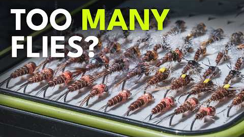 The Only 10 Flies You'll Ever Really Need | Ep. 181