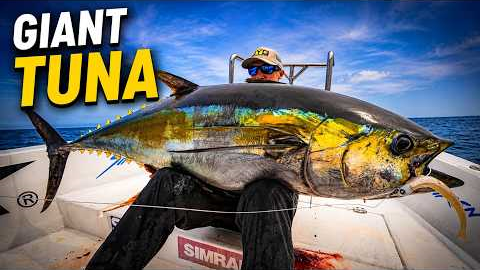 2 Hours of Yellowfin Tuna Fishing!