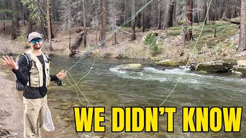 Beginner Fly Fishing: 10 Mistakes We Didn’t Realize We Were Making